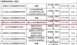 幼儿师范高等专科学校毕业可以教中学吗